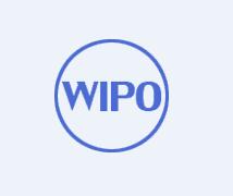 马德里商标注册